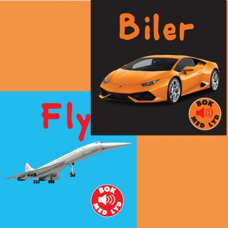 Pakke: Fly og bil